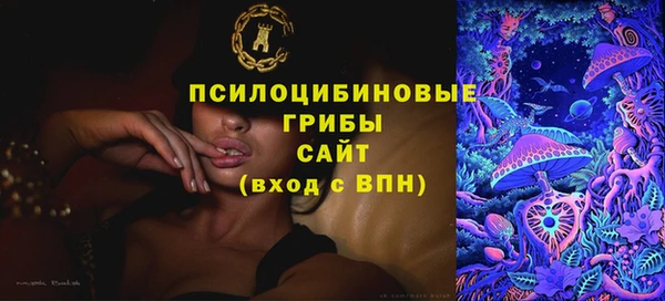 спиды Анива